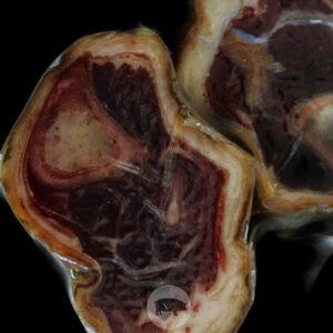 HUESOS DE JAMÓN IBÉRICO