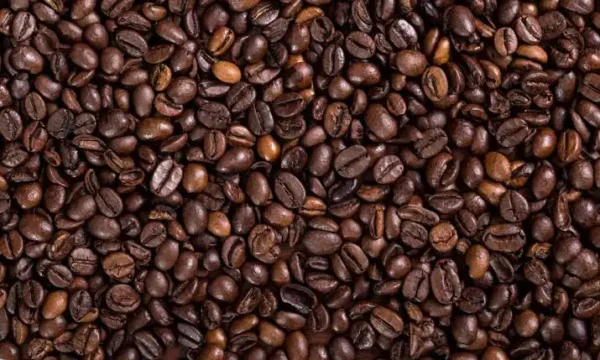 Torrefacto Café en Grano - Barco - Imagen 2