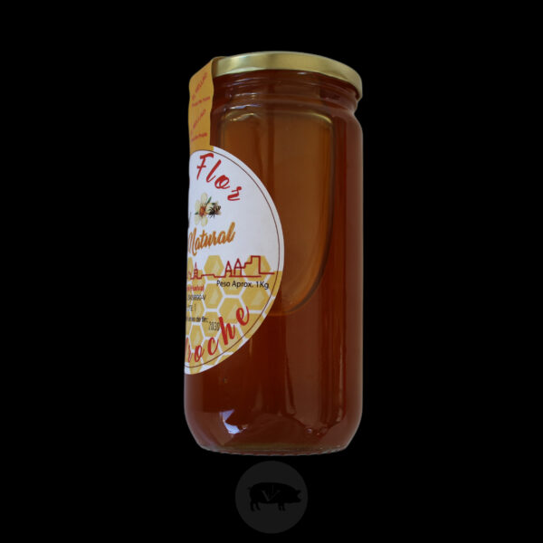 MIEL LA FLOR DE AROCHE - Imagen 2